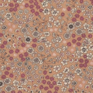 coton_fleurs_sauvage_ecrue