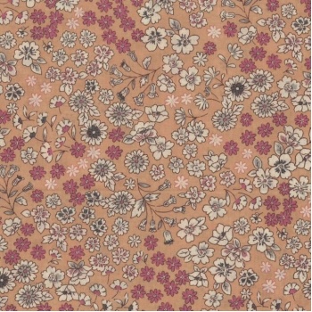 coton_fleurs_sauvage_ecrue